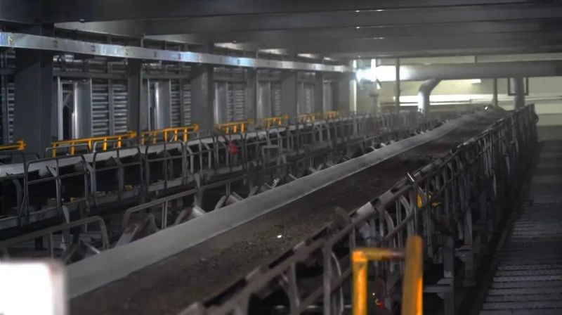 �ŵ�88(�й���)�ٷ���վ