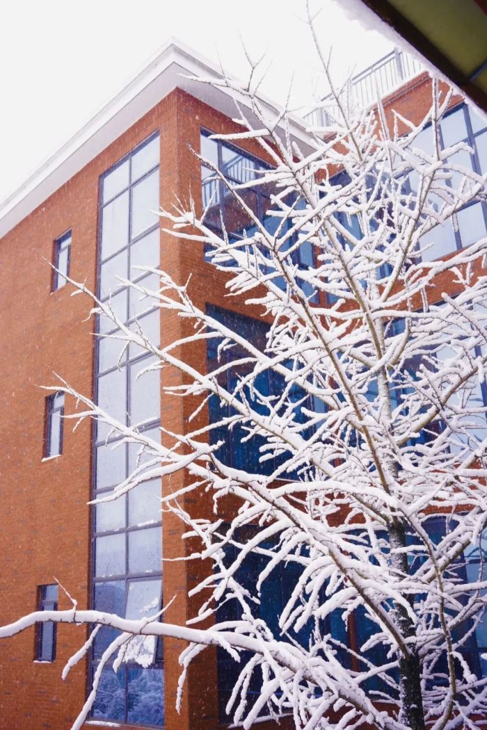 �ŵ�88(�й���)�ٷ���վ