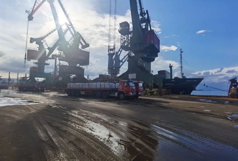 �ŵ�88(�й���)�ٷ���վ