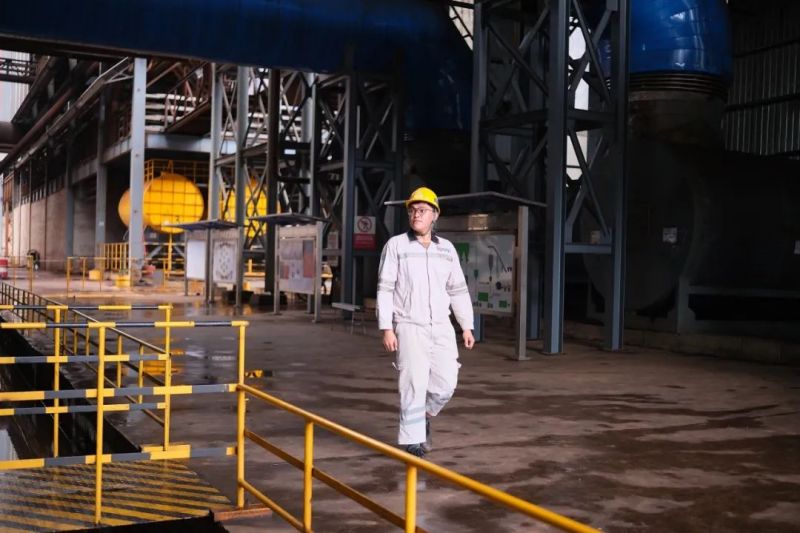 �ŵ�88(�й���)�ٷ���վ