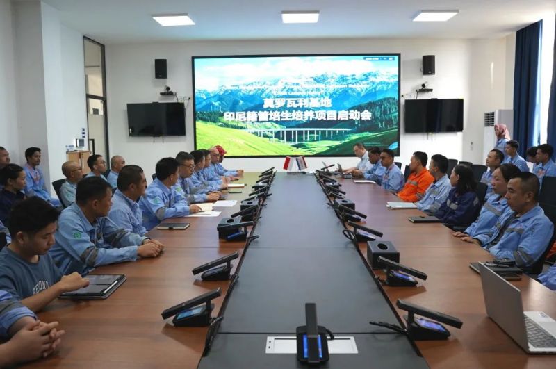 �ŵ�88(�й���)�ٷ���վ