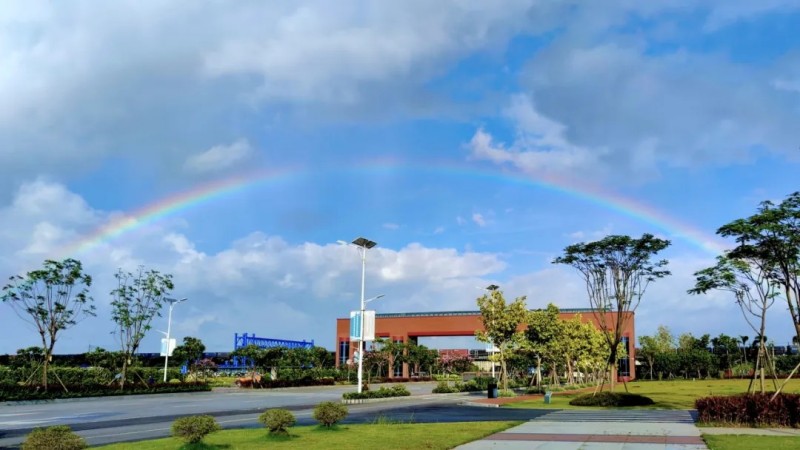 �ŵ�88(�й���)�ٷ���վ