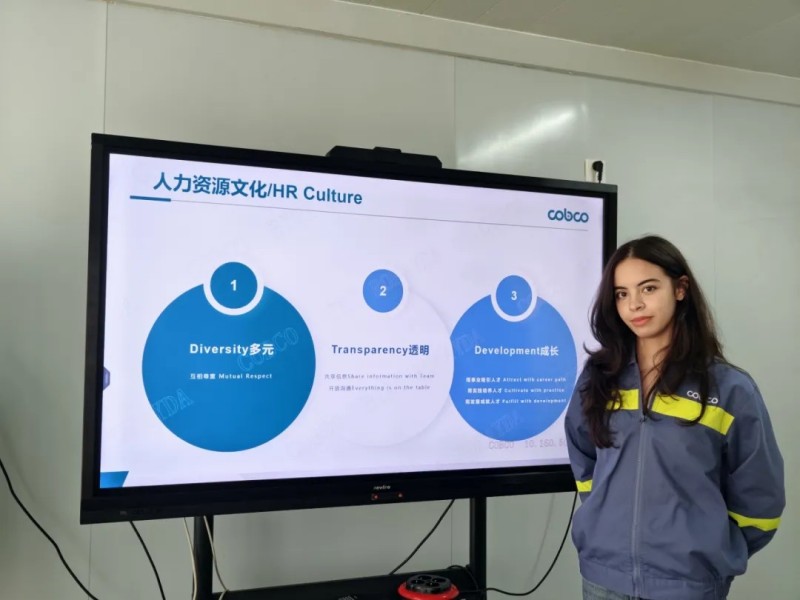 �ŵ�88(�й���)�ٷ���վ