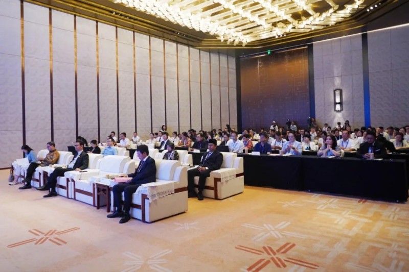 �ŵ�88(�й���)�ٷ���վ