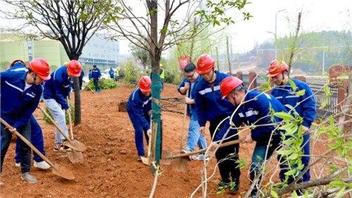 ���ֲ���ڣ�������������ֲһĨ���̣�����������������ɫδ��������